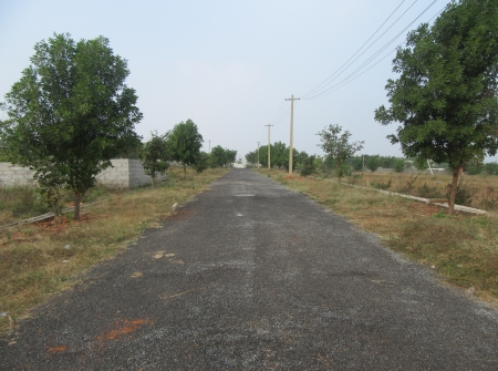 10) Li Id : 190 - Pic 11.JPG